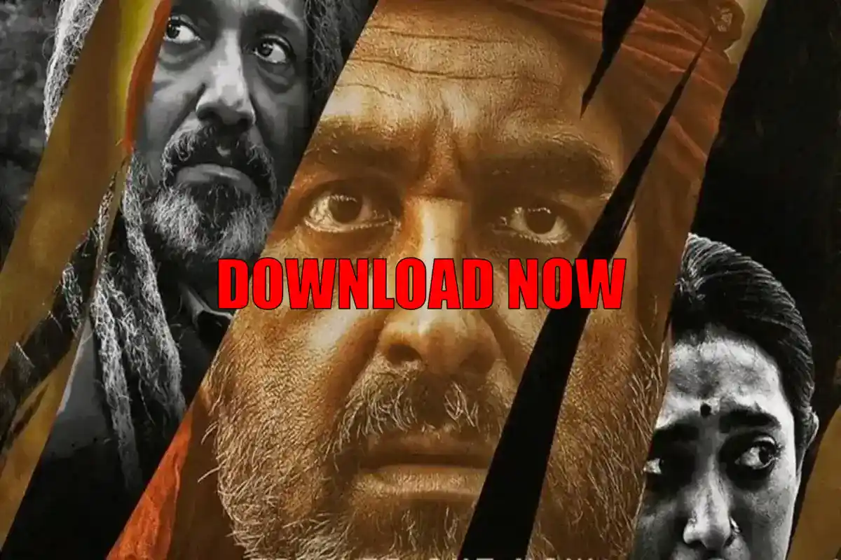 Sherdil - The Pilibhit Saga 2022 Full HD Movie Download Filmyzilla - HaraamKhor